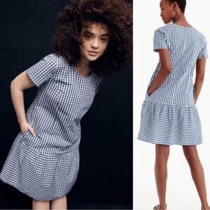 Universal Standard x J. Crew Gingham Drop Waist Dress Blue White Small M2